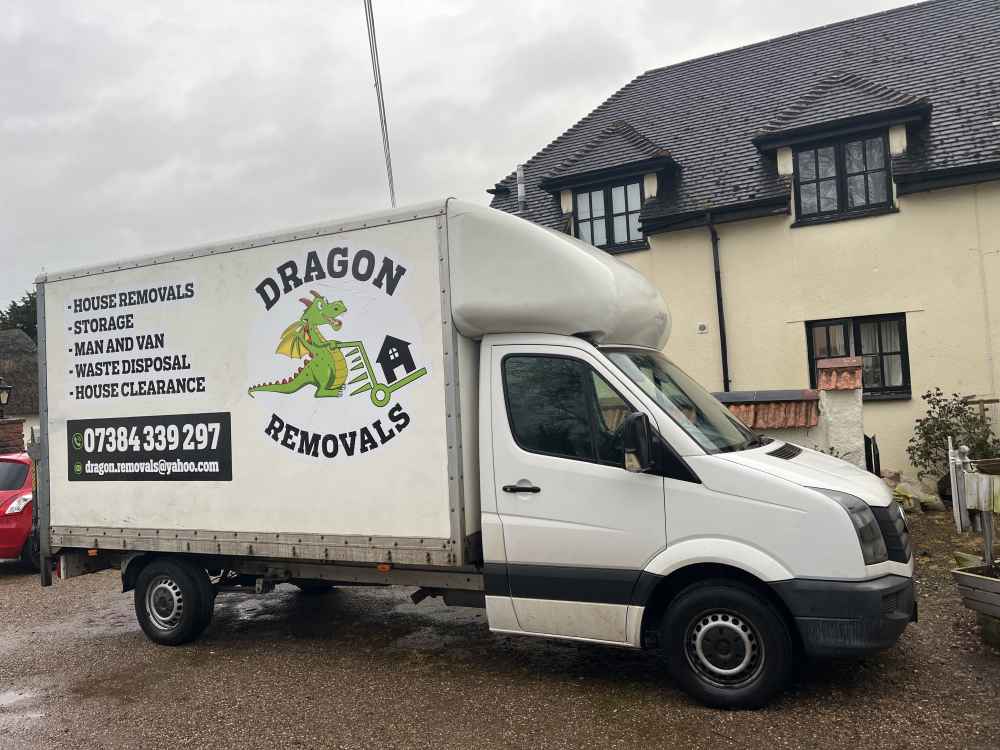 Dragon Removals reference image 1
